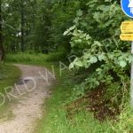 The Trail to the Berghof Ruins