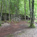 The Back Wall of the Bunker