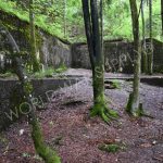 The intact bunkers provide visitors with a time capsule.