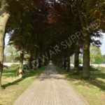 Ysselsteyn German War Cemetery