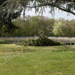 Ysselsteyn German War Cemetery