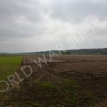 Operation Market Garden
