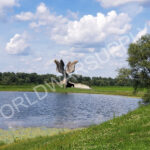 Jasenovac concentration camp